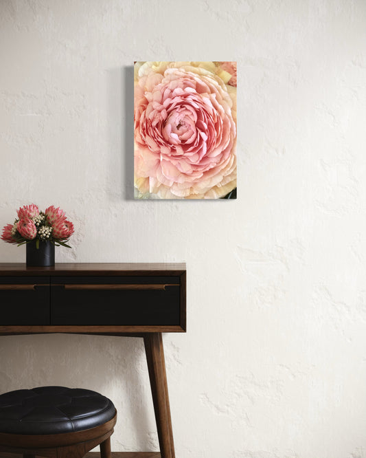 Blushing Petals II