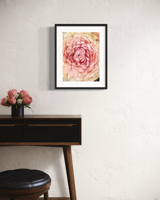 Blushing Petals II
