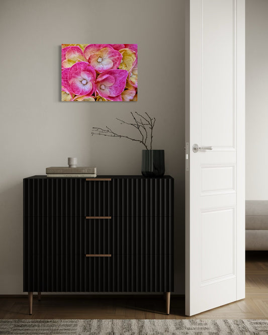 Blushing Petals
