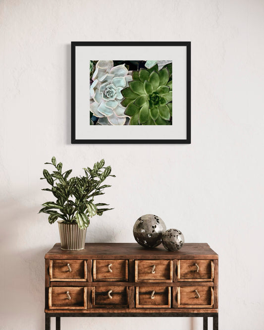 Botanical Duet