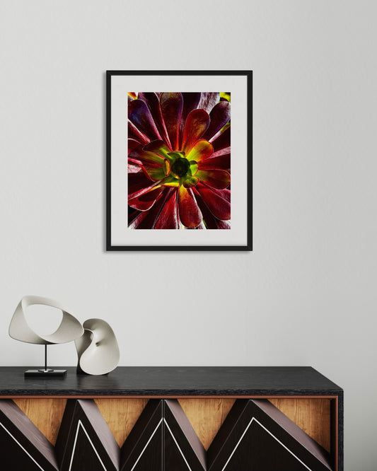 Ember Rosette