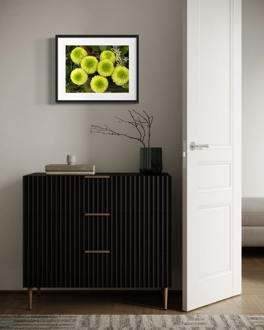 Limelight