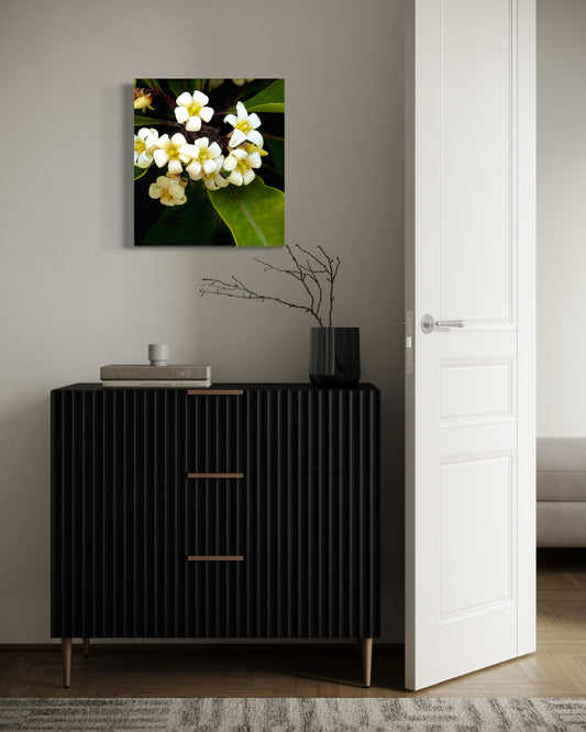 Petite Fleur
