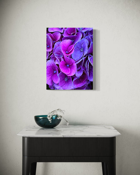 Purple Maze