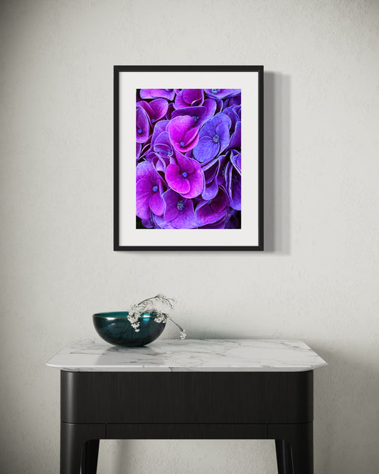 Purple Maze