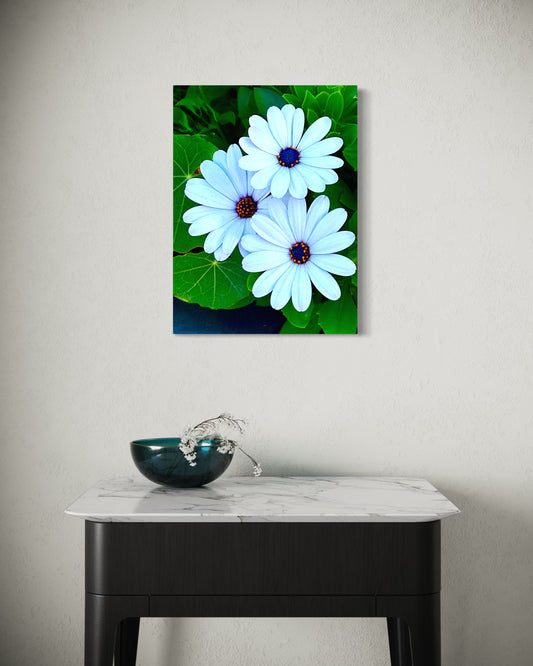 Trio in Bloom