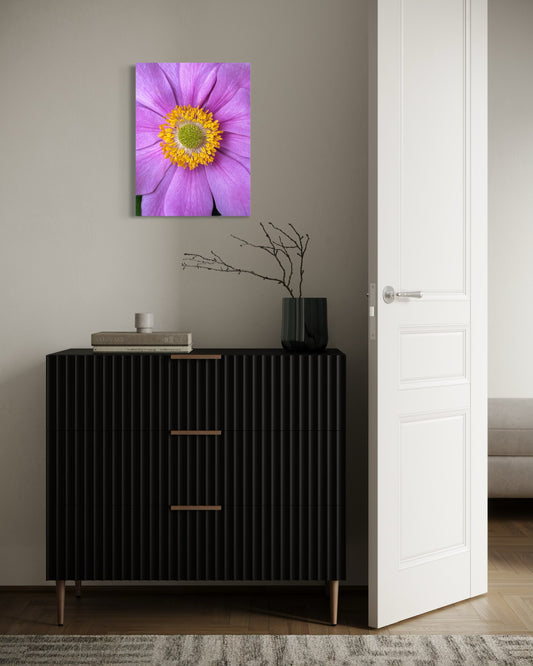 Violet Radiance