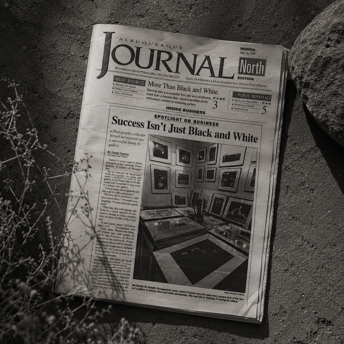 Albuquerque Journal featuring Photogenesis