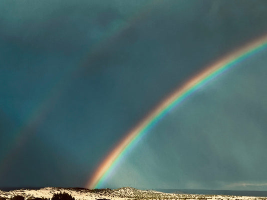 After the Storm