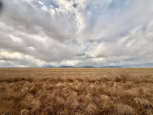 Before the Rain