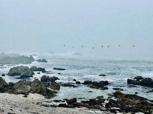 Between Mist and Motion