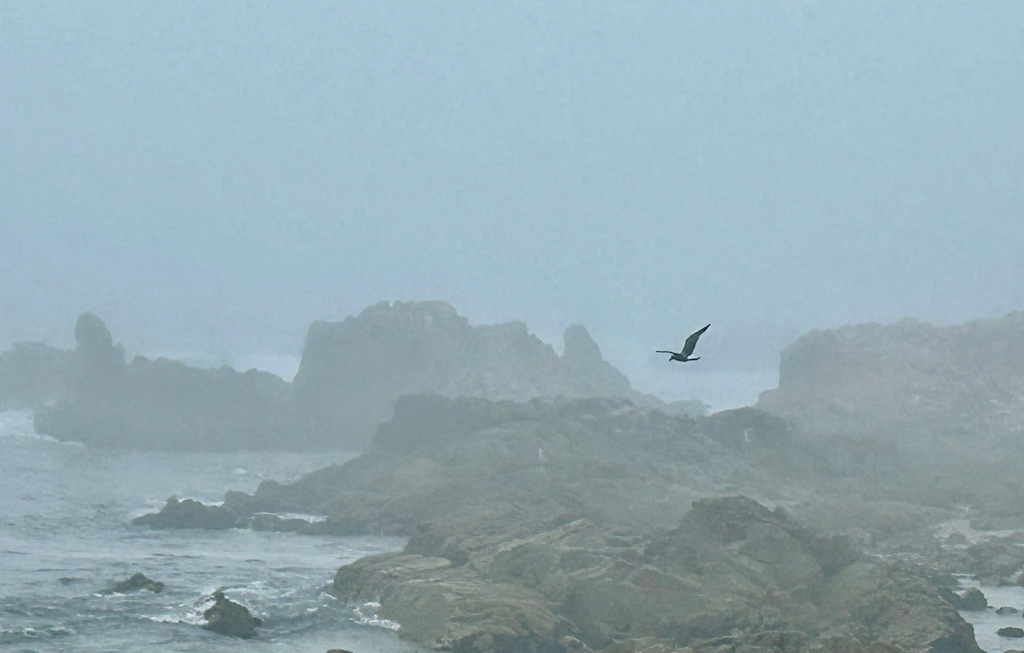 Between Sea and Silence