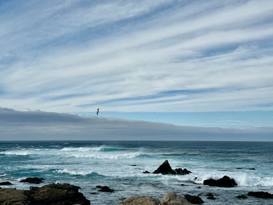 Carried by the Wind