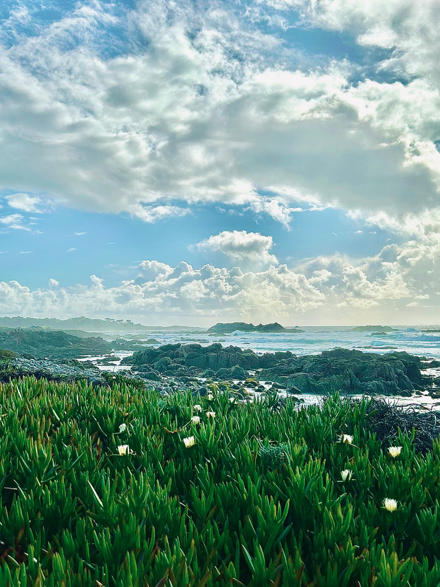Coastal Awakening