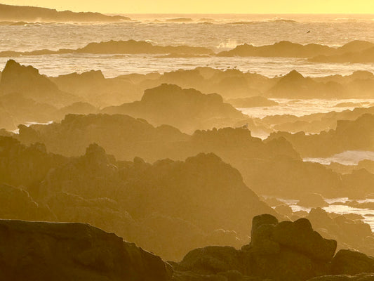 Echoes Through the Mist
