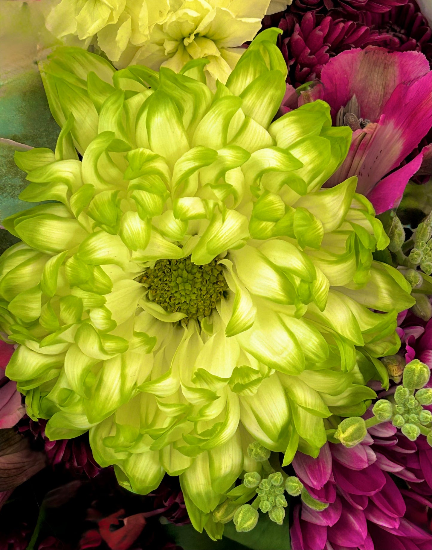 Electric Bloom