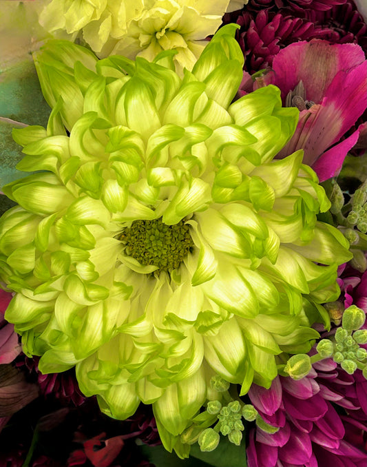 Electric Bloom
