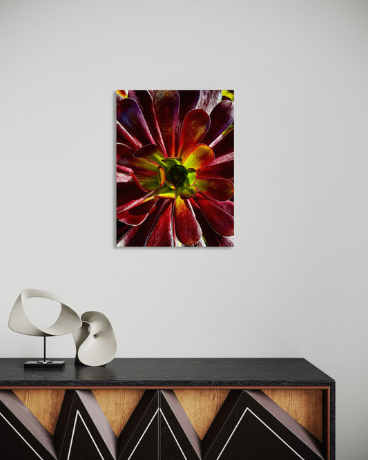 Ember Rosette
