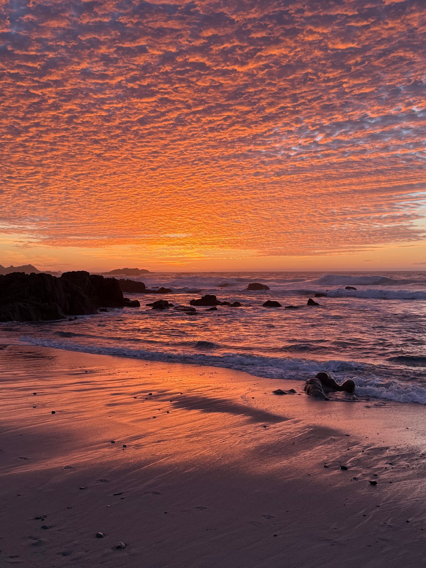 Ember Sky, Silent Tide