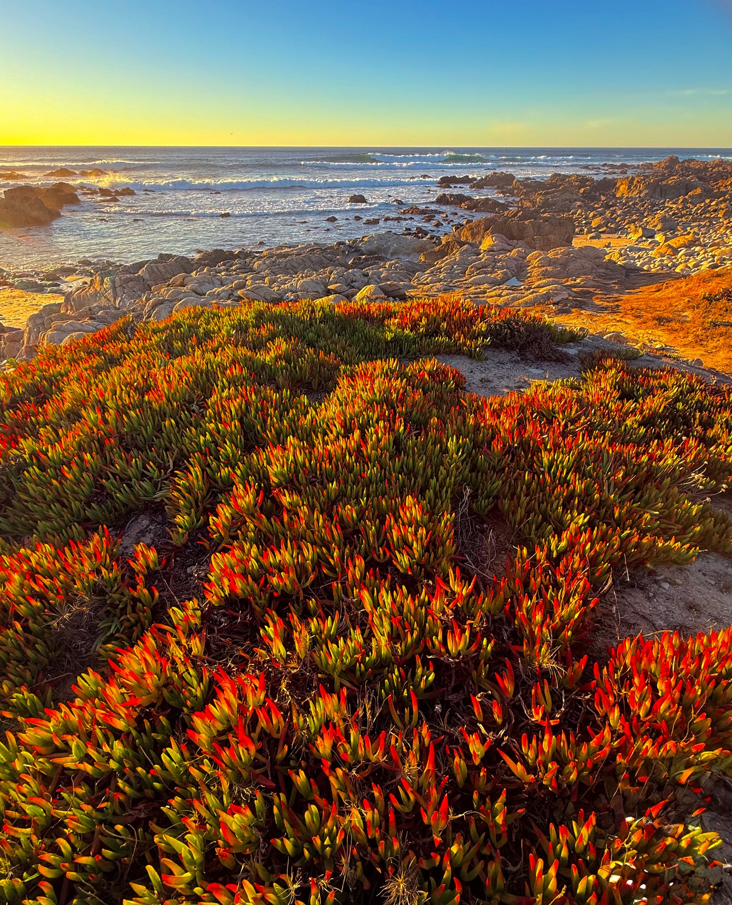 Embers on the Bluff