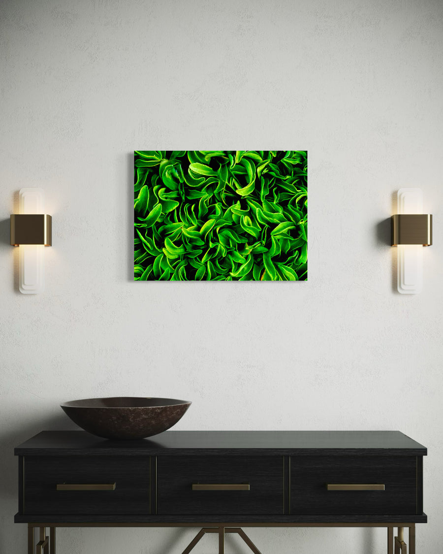 Emerald Currents