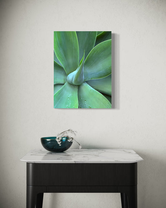 Emerald Reverie