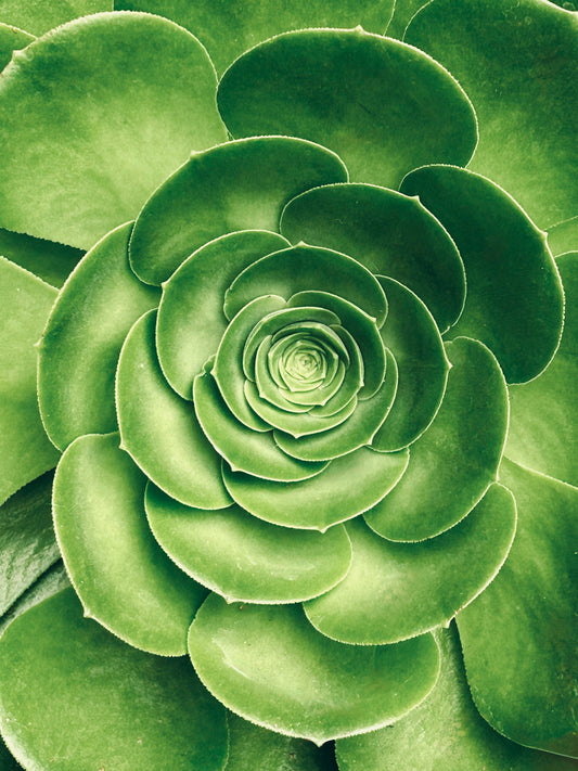 Emerald Spiral