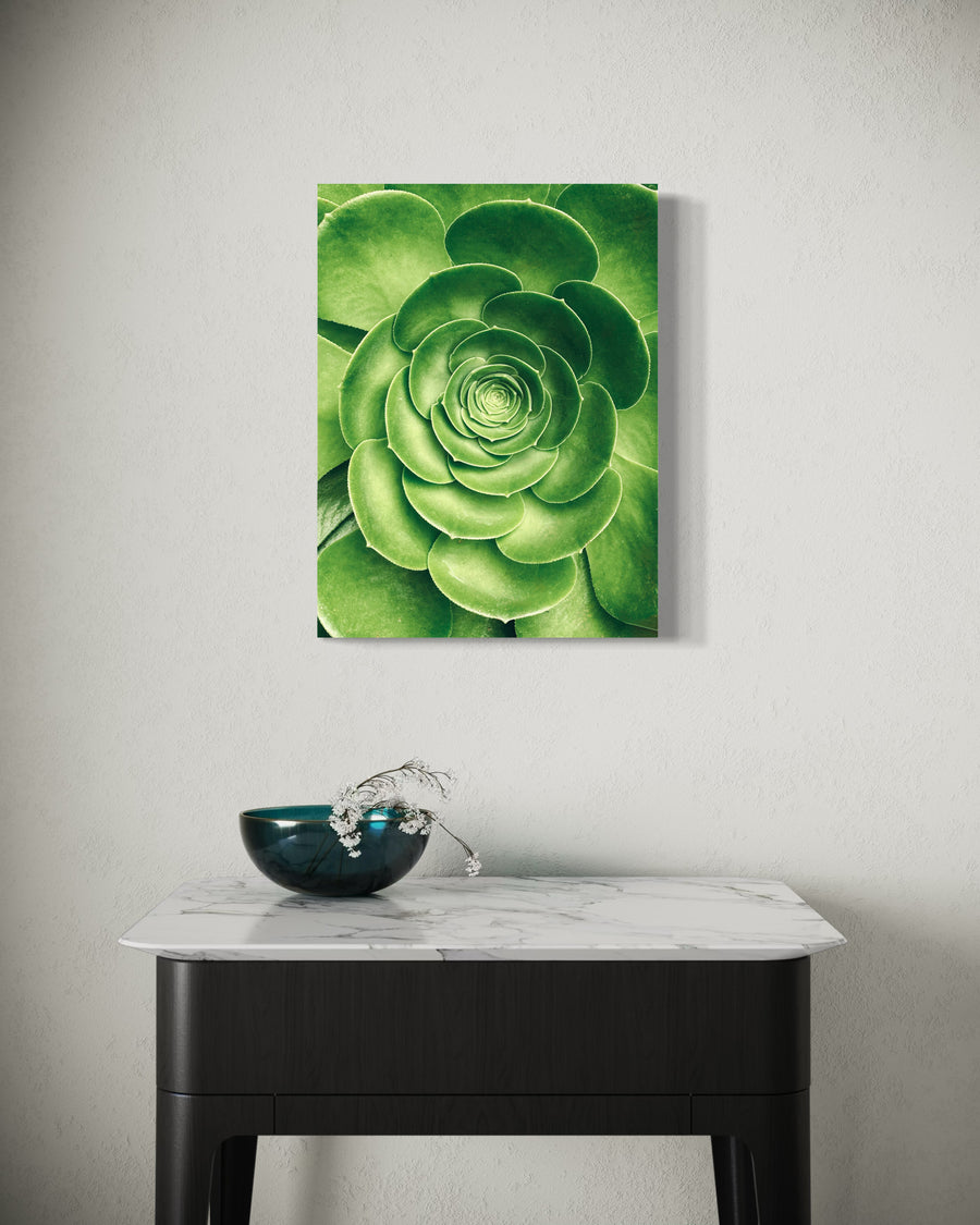 Emerald Spiral