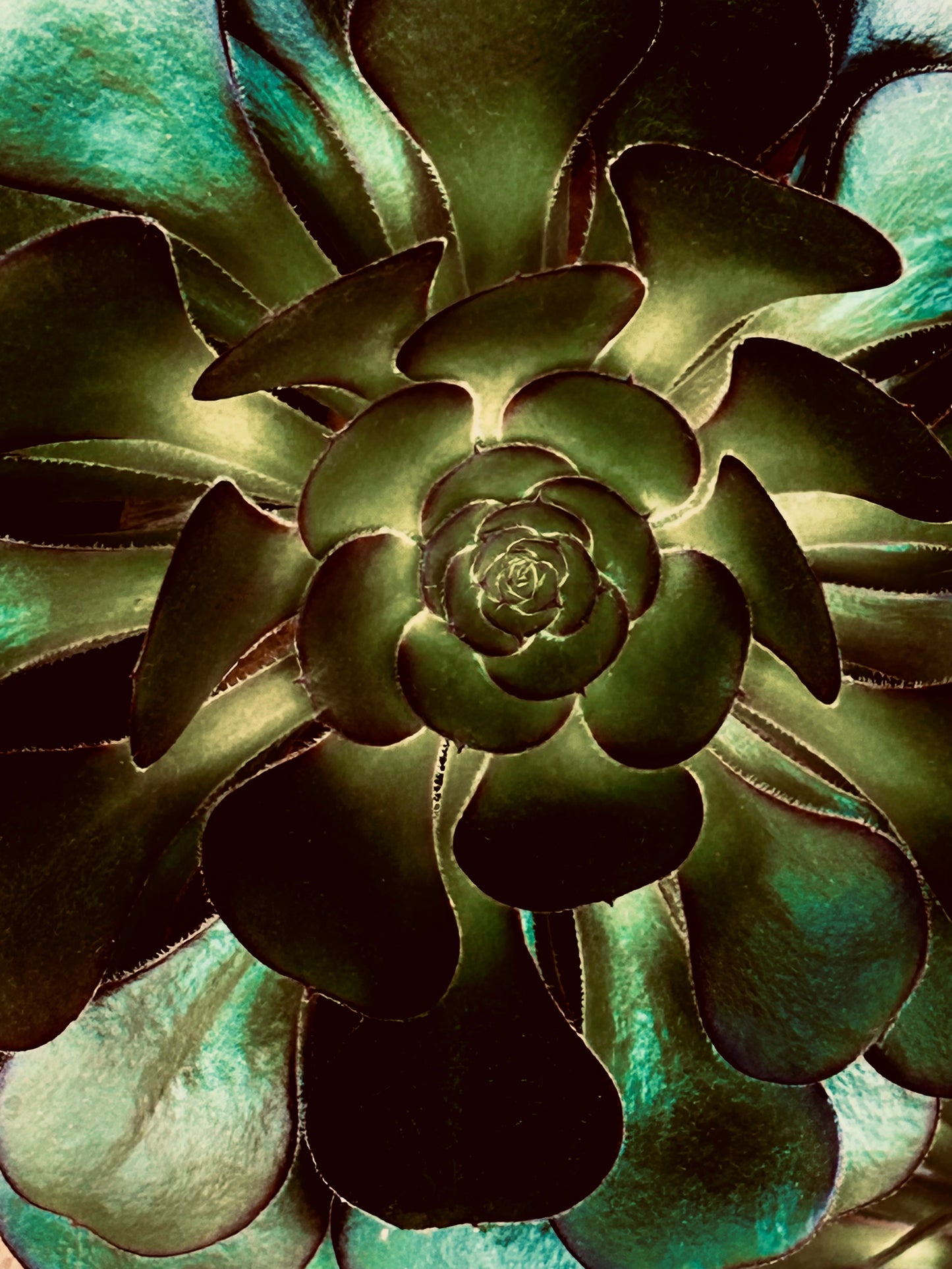 Emerald Vortex