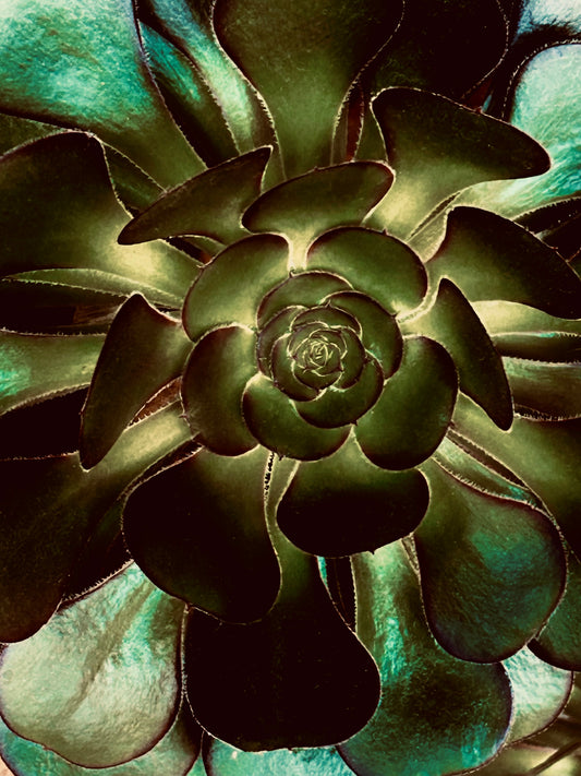 Emerald Vortex