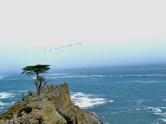 Endurance at the Edge