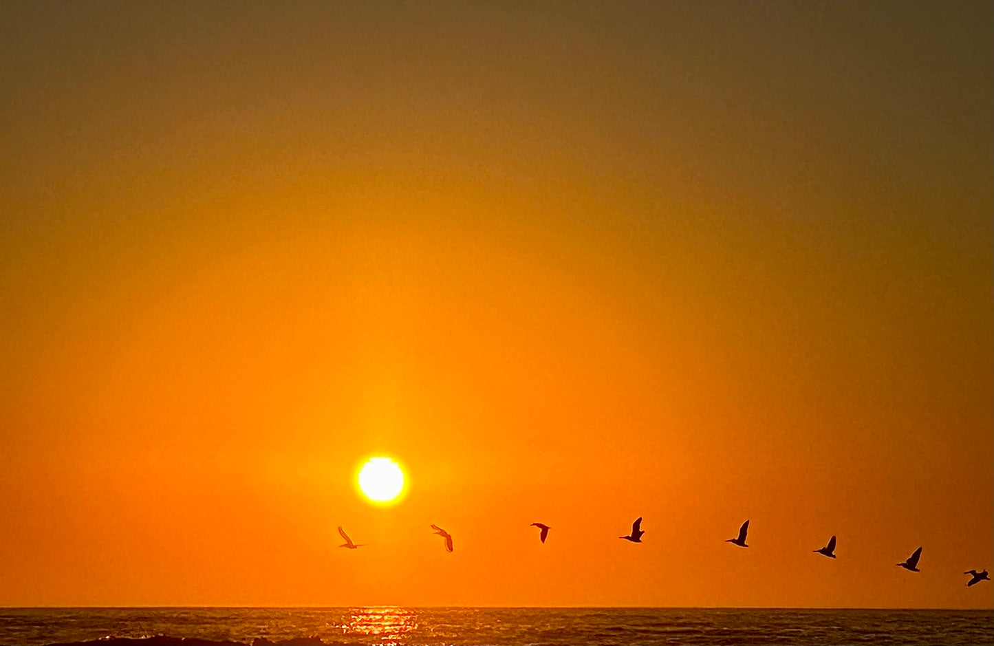 Evening Flight