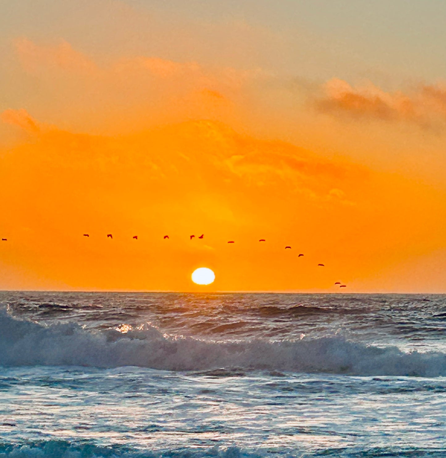 Flight at Day_s End