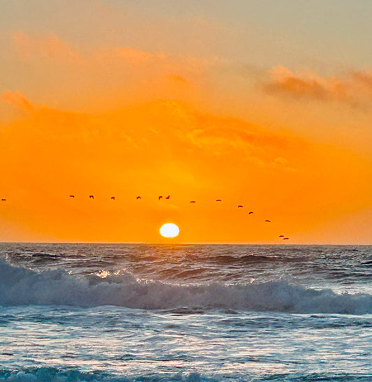 Flight at Day_s End