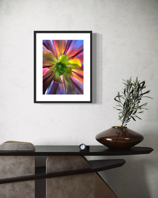 Garden Prism