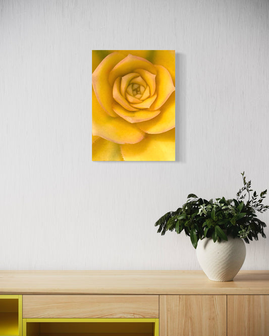 Gilded Bloom
