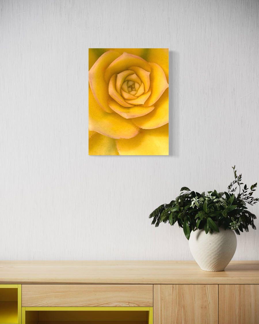 Gilded Bloom