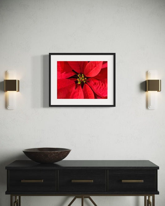 Heart of the Season