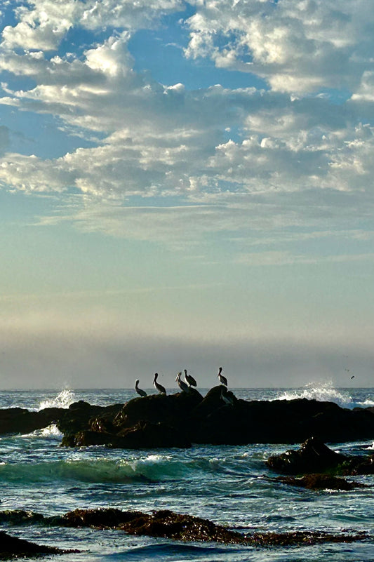 Keepers of the Tide
