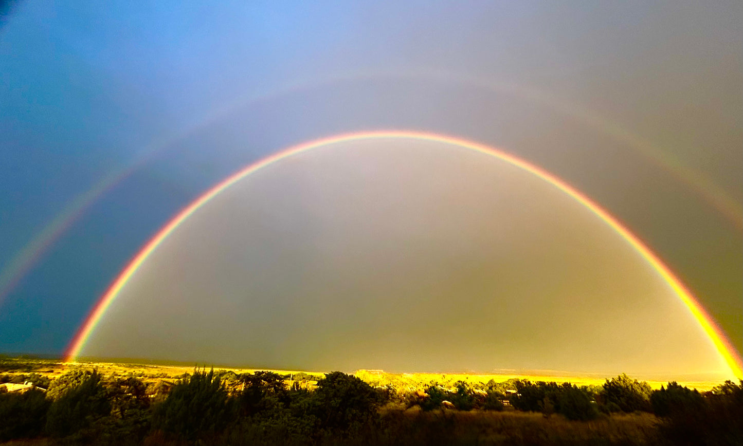 New Mexico Promise