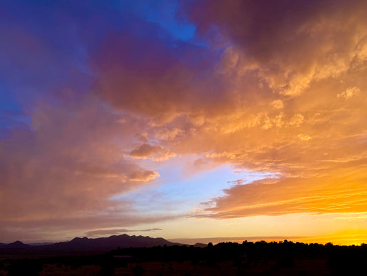 New Mexico Unititled