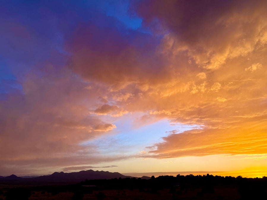New Mexico Unititled
