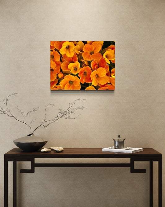 Petals of Firelight
