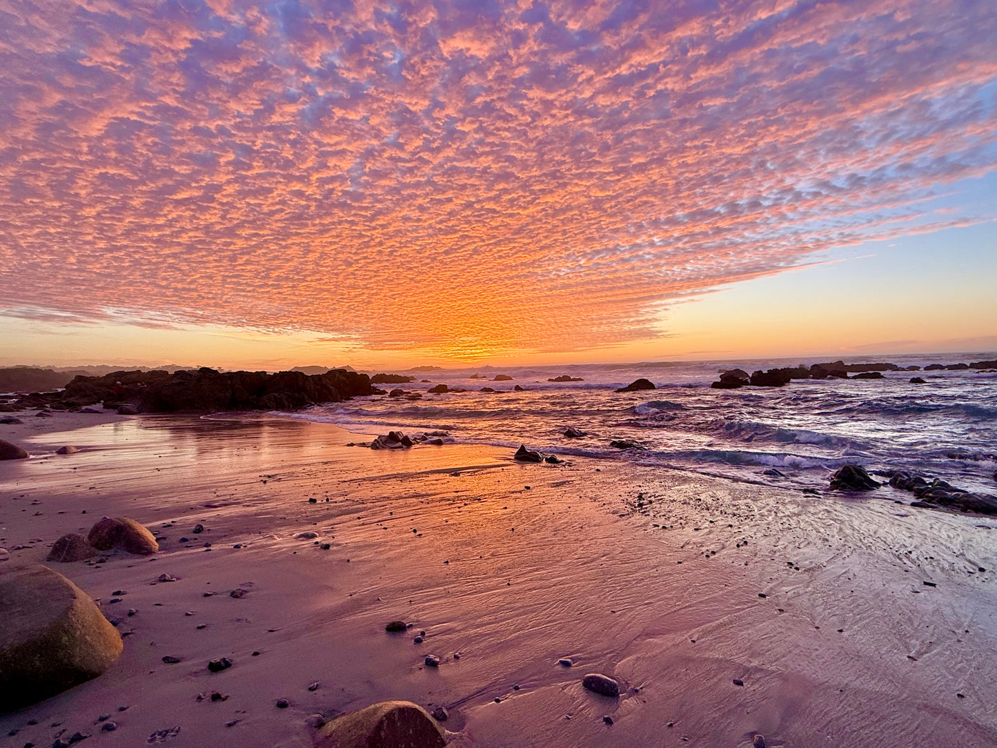 Sailor's Delight
