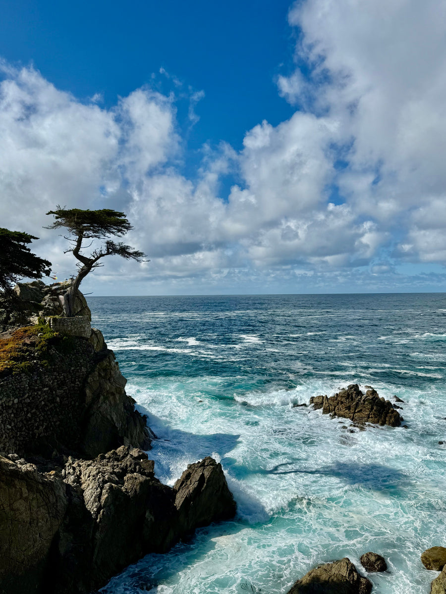 Sentinel of the Pacific