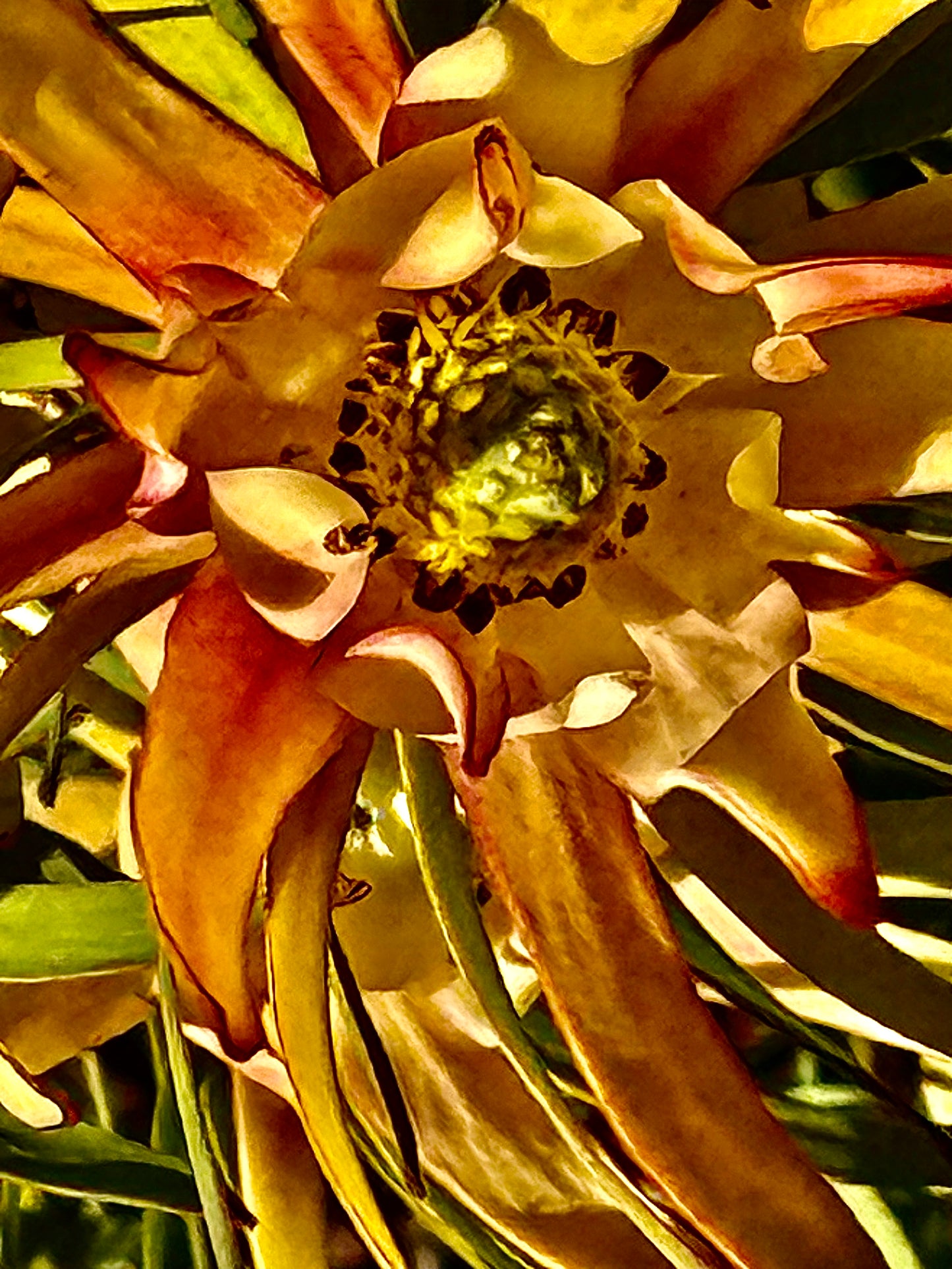Sunfire
