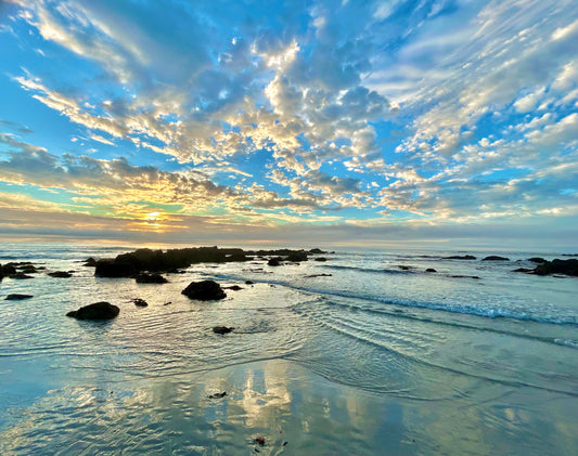 The Light Between the Horizons