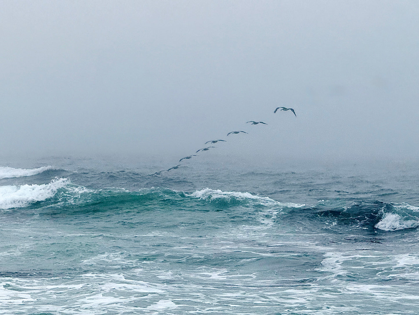 Vanishing into the Mist