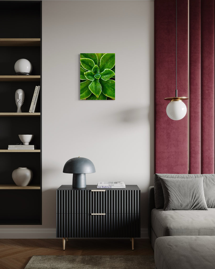 Velvet in Verdant Light