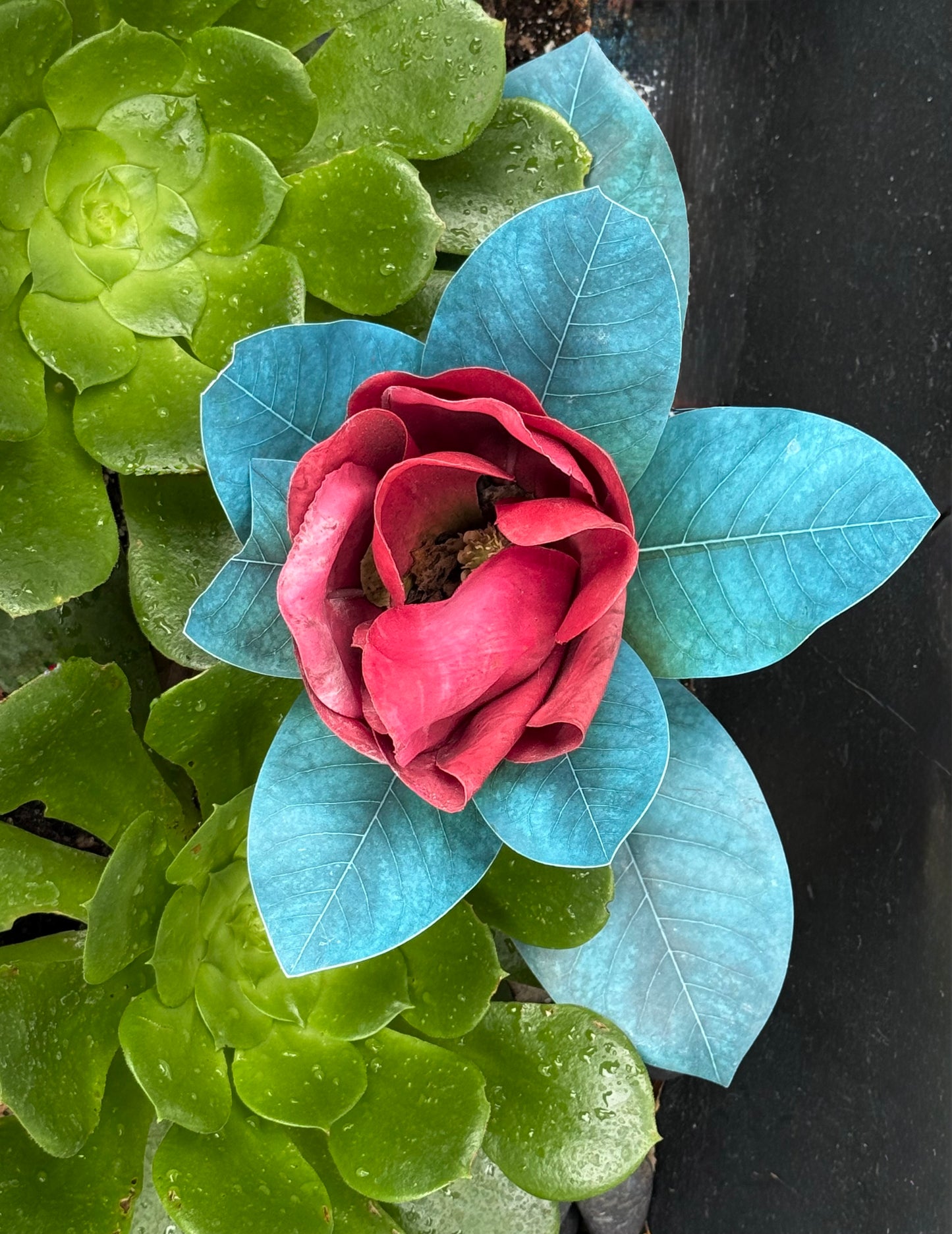 Verdant and Vermilion